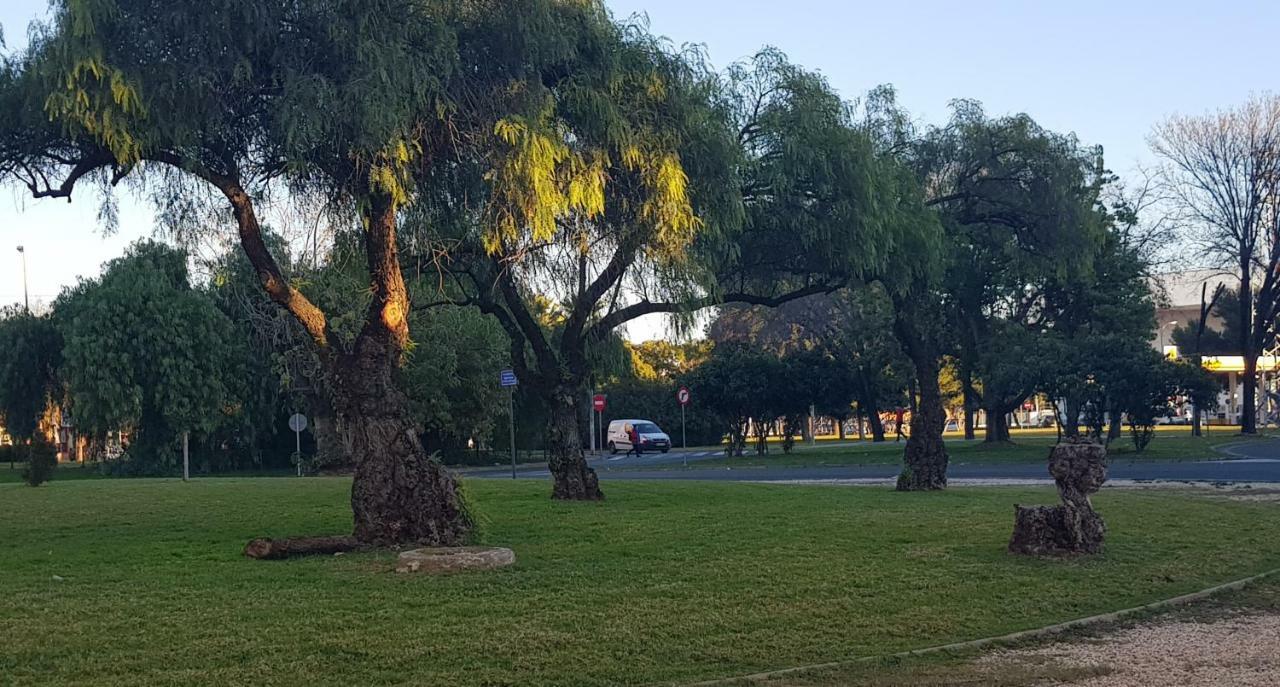 Apartamento Frente A Palacio De Congresos Sevilla Eksteriør bilde